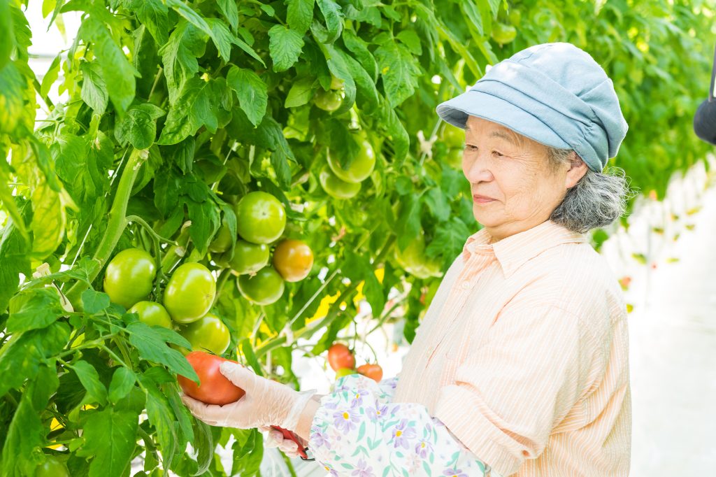BABA FARMパートさん募集